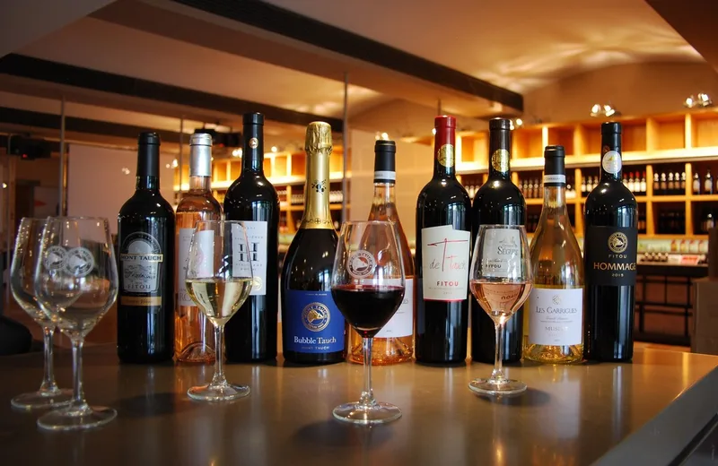 Bouteilles et verres de vins de la Cave Du Mont Tauch
