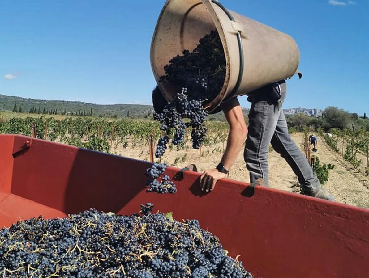 Vidage de hotte au Château Wiala
