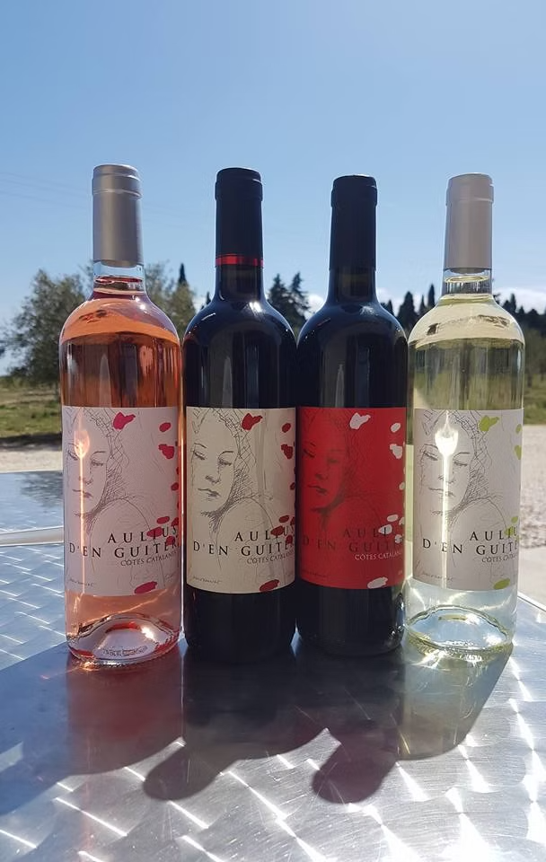 4 bouteilles de vin Domaine Aulius d'en Guiter
