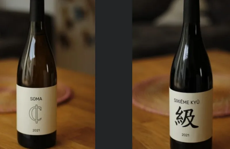 Deux bouteilles de vin du Domaine Ex Materia