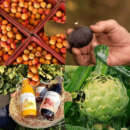 Fruits, légumes, jus de fruits produits par le Domaine Gaux