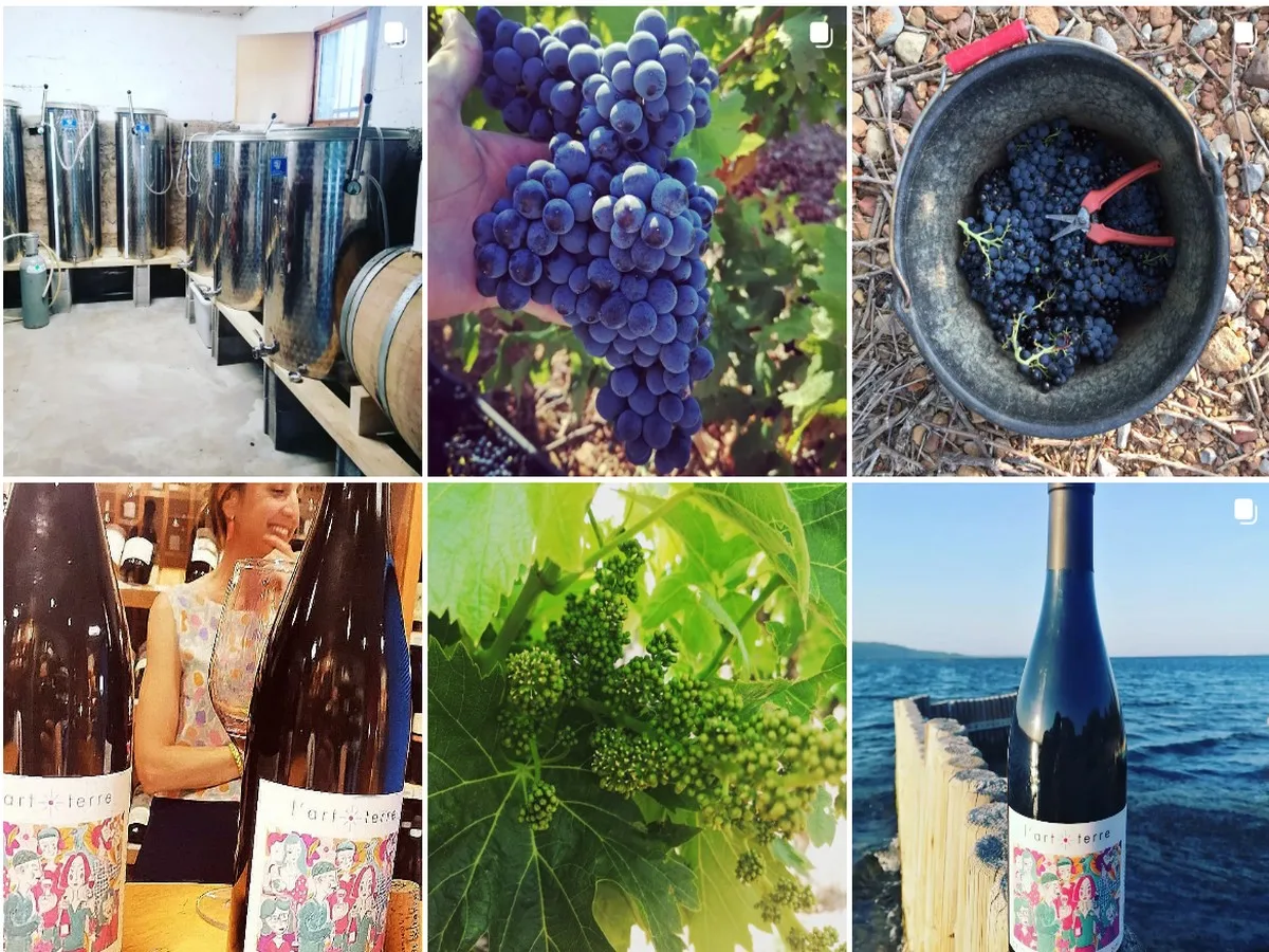 Parcours de production du vin du Domaine L'art terre