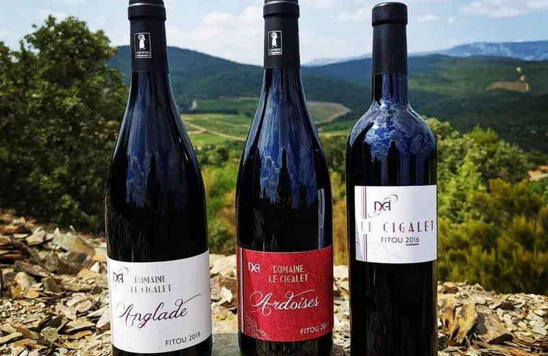 3 bouteilles de vin rouge du Domaine Le Cigalet