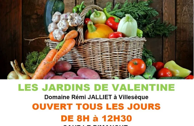 Panier débordant de divers légumes produits par Les Jardins De Valentine