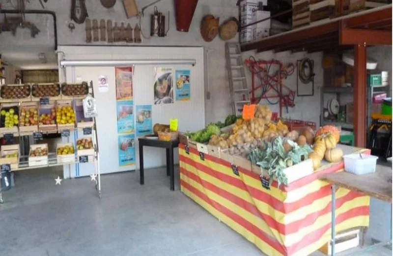 Salle de vente des fruits et légumes produits par Maraîchage Scea Fillols