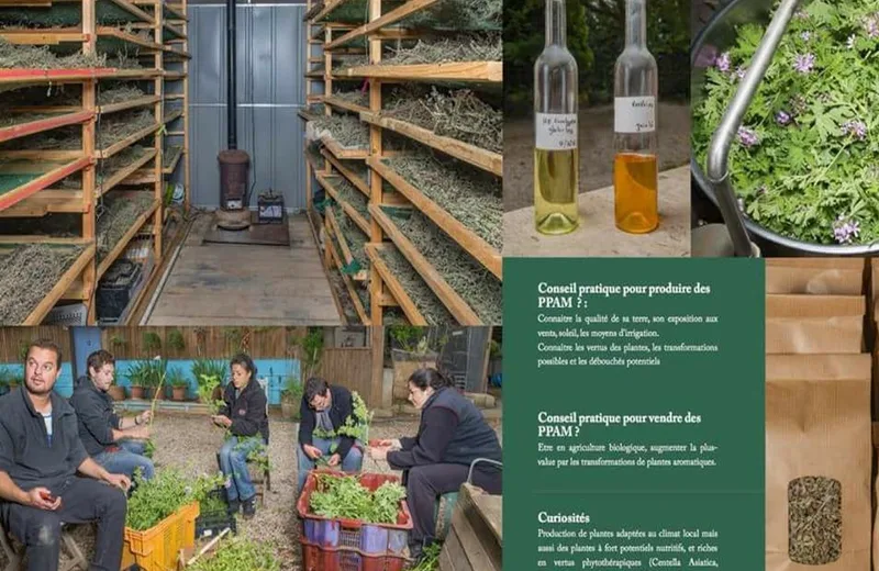 Parcour de production des produits de la Pépinière Arômes Et Sens