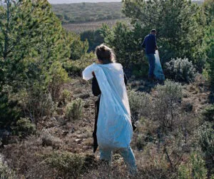 Ramassage des matières premières au sol pour les produits de Plantes Aromatiques Des Corbières